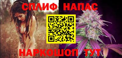 ГАЛЛЮЦИНОГЕННЫЕ ГРИБЫ Можга