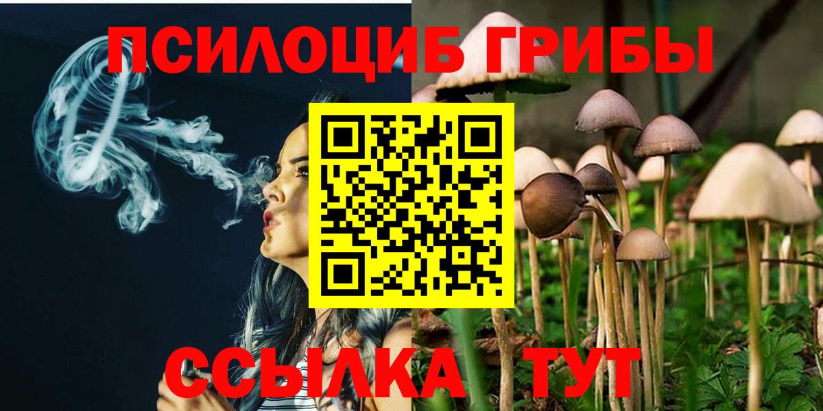 Псилоцибиновые грибы мухоморы Верхний Уфалей