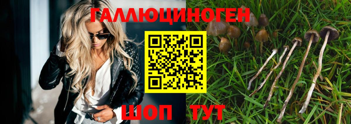 Галлюциногенные грибы Psilocybe  Вход с VPN  Верхний Уфалей 